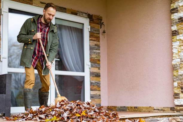 Best Electronics Removal Services  in Hamlet, IN